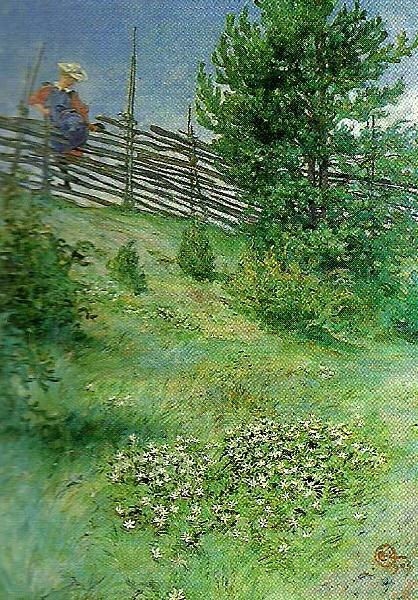 Carl Larsson flicka vid gardesgarden France oil painting art